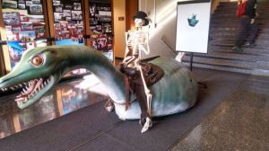 daily_picdump_1718_640_42