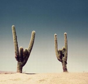 daily_picdump_1718_640_99