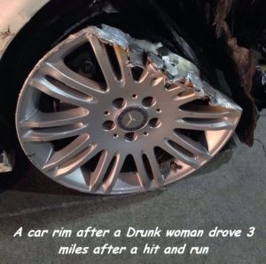 daily_picdump_1785_640_116