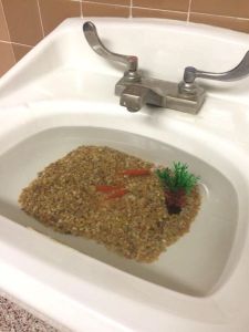 daily_picdump_1798_640_58