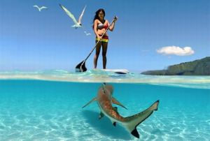 daily_picdump_1798_640_99