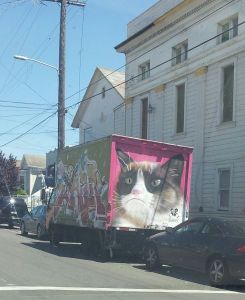 daily_picdump_1799_640_15