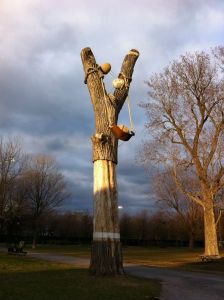 daily_picdump_1799_640_43