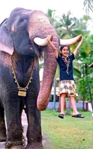 daily_picdump_1800_640_05