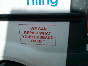 daily_picdump_1802_640_08