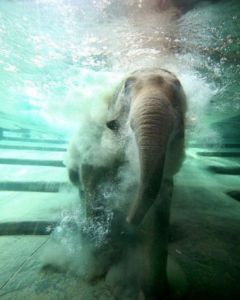 daily_picdump_1804_640_25