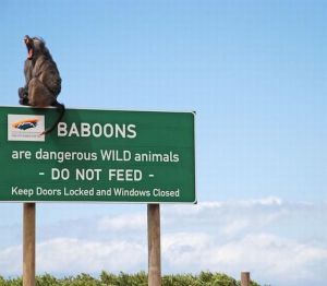 daily_picdump_1806_640_11