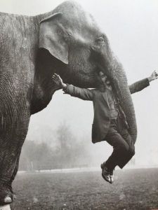 daily_picdump_1807_640_19