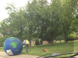 daily_picdump_1811_640_70