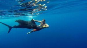 daily_picdump_1820_640_89