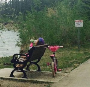 daily_picdump_1822_640_54