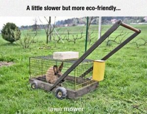 funny-lawn-mower-bunny-cage