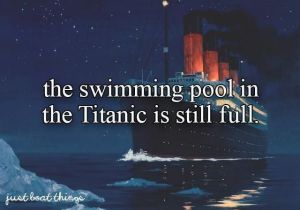 funny_picdump_975_640_32