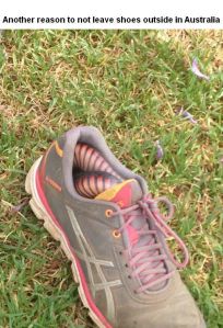 morning_picdump_640_high_58