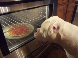 morning_picdump_673_640_51