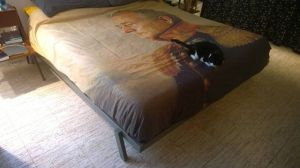 morning_picdump_677_640_27