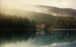 morning_picdump_678_640_14