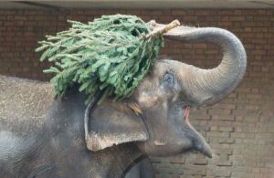 morning_picdump_679_640_14