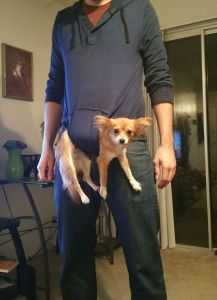 morning_picdump_684_640_27