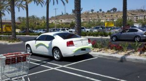 morning_picdump_689_640_43