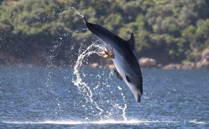 morning_picdump_690_640_21