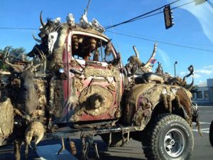 morning_picdump_691_640_32