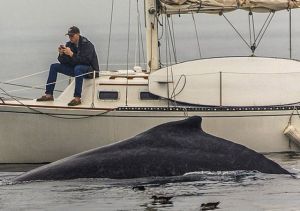 morning_picdump_694_640_16