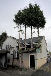 morning_picdump_697_640_03