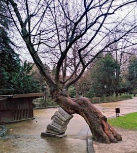 morning_picdump_708_640_30