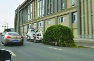 morning_picdump_716_640_35