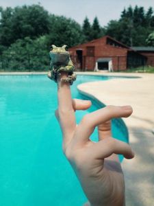 morning_picdump_716_640_39