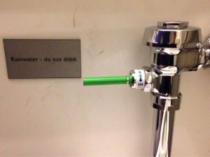 morning_picdump_729_640_04