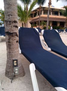 morning_picdump_731_640_44