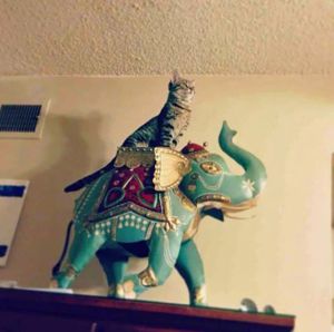 morning_picdump_734_640_14