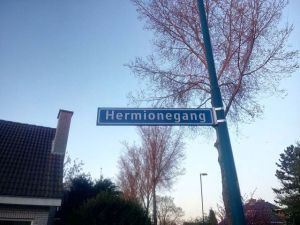 morning_picdump_737_640_51