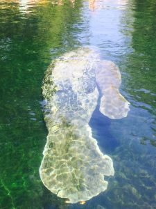 morning_picdump_742_640_27