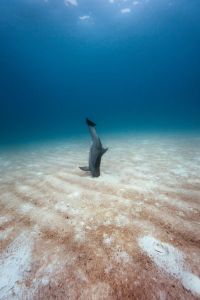 morning_picdump_744_640_34