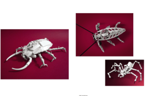 Screen Shot 2014-11-06 at 1.48.55 AM