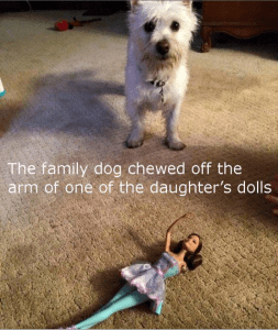 Screen Shot 2015-01-08 at 6.33.45 PM