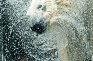 Screen Shot 2015-01-19 at 1.04.16 PM