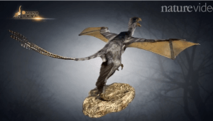 Screen Shot 2015-05-02 at 8.35.37 PM