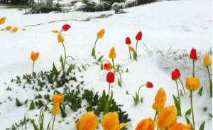 Screen Shot 2015-05-06 at 10.24.08 AM