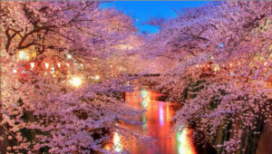 Screen Shot 2015-05-06 at 10.28.24 AM