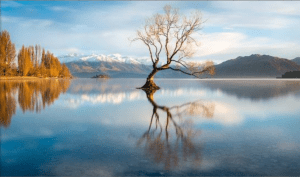 Screen Shot 2015-05-06 at 12.06.17 AM