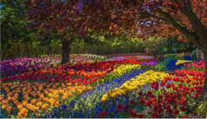 Screen Shot 2015-05-06 at 12.11.16 AM