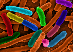 Screen Shot 2015-05-16 at 9.15.26 PM