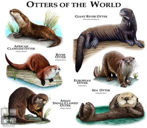 tumblr_nglod9PhOn1sq1114o1_500