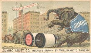 tumblr_nllg6pjMjk1qay553o1_500 copy