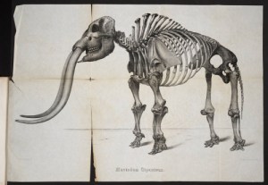 tumblr_nnj9k0tP3T1ry3nado4_500