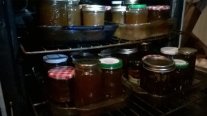 WP_20150526_22_28_44_Pro